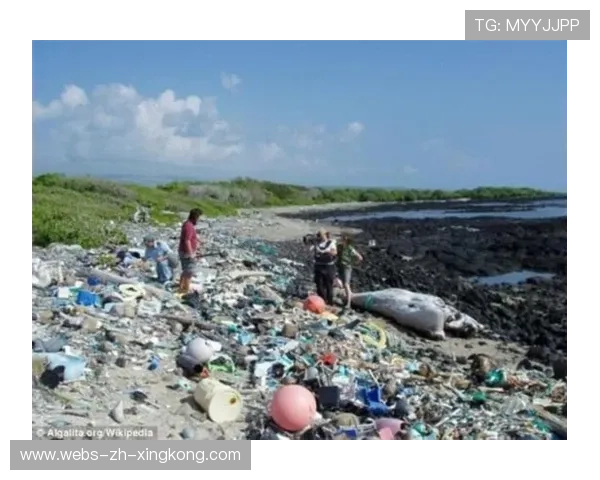 多米尼加沙滩运动旅游结合日益紧密，多米尼加海滩